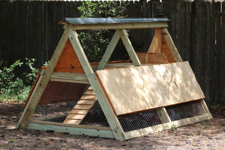 19 EASY AFrame Chicken Coop Plans