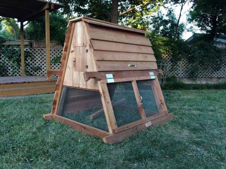 19 EASY AFrame Chicken Coop Plans