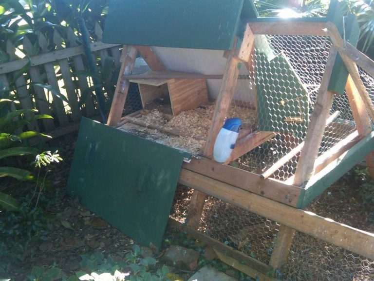 19 EASY AFrame Chicken Coop Plans