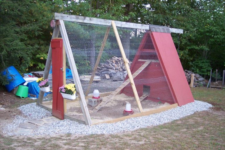 19 EASY AFrame Chicken Coop Plans