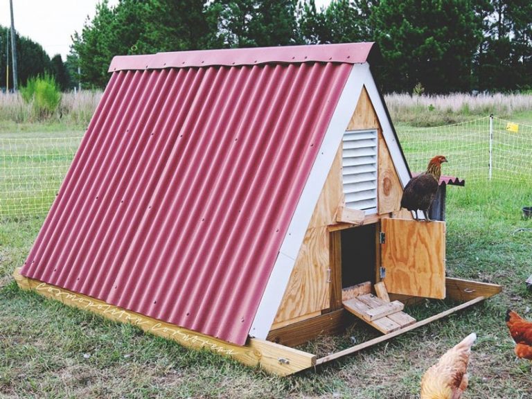 19 EASY AFrame Chicken Coop Plans