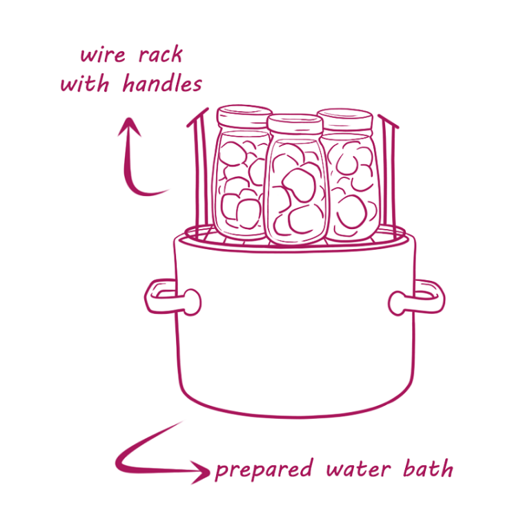 How to Can Beets Without a Pressure Cooker (The Water Bath Method)