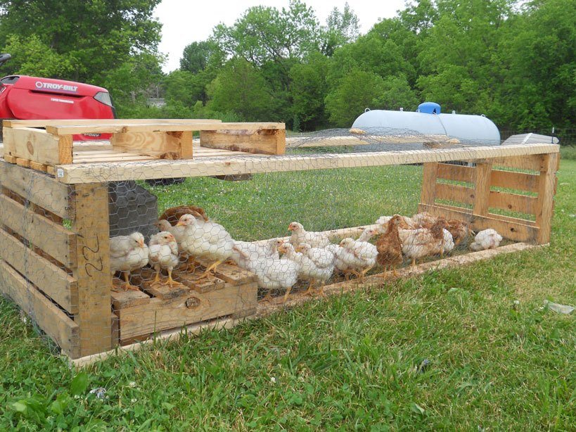 Pallet Coop Idee Pollo Trattore