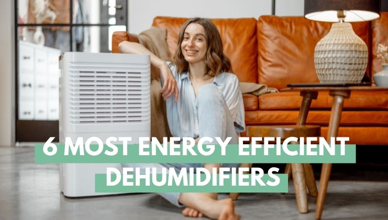 6 Most Energy Efficient Dehumidifiers - Eco Peanut - Energy-Efficient Off-Grid Dehumidification