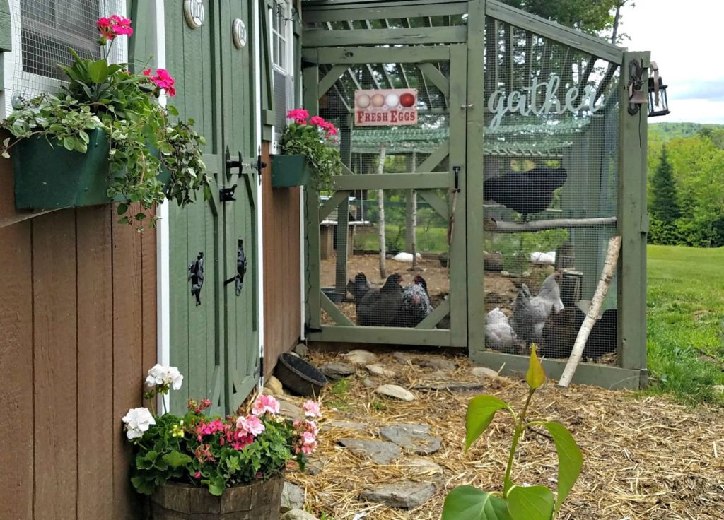 simple but effective chicken run