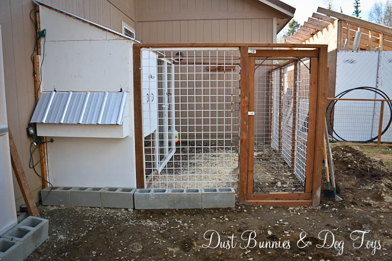 15 Easy to Build Chicken Run Ideas on a Budget Eco Peanut