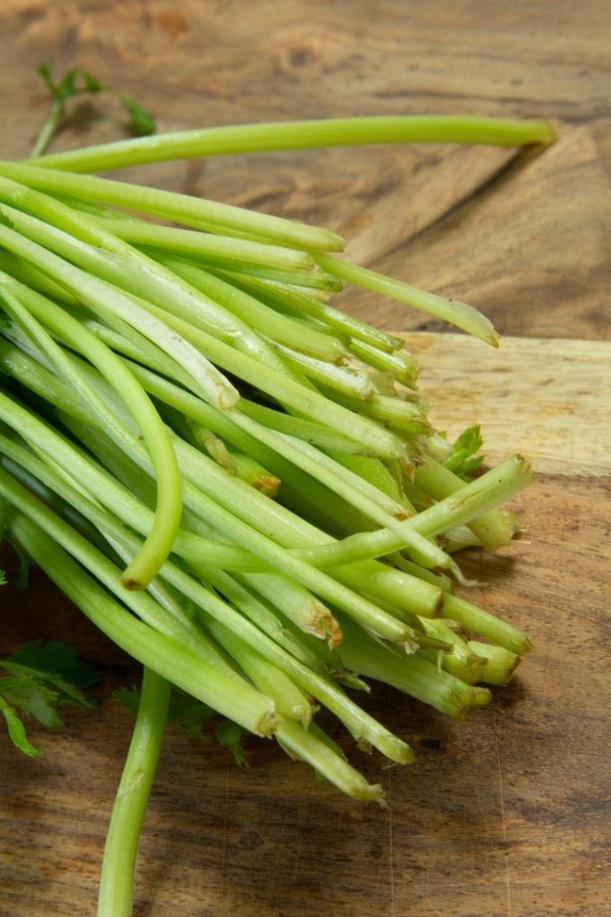cilantro stems