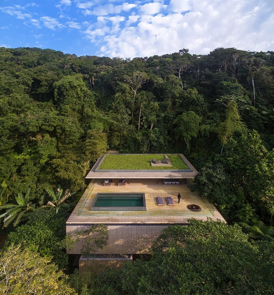 the jungle house