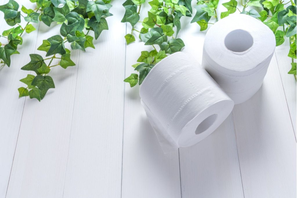 toilet paper