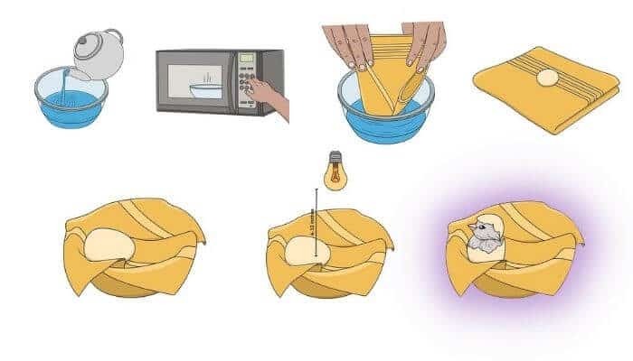 warm-water-trick-for-hatching-eggs