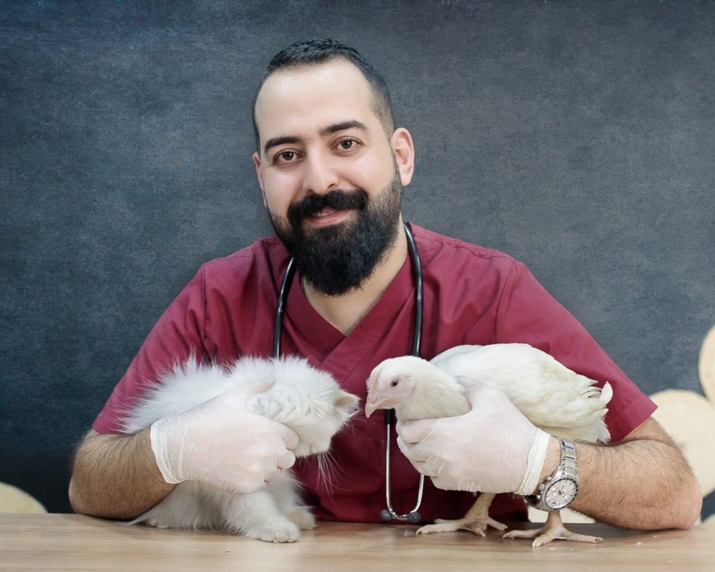 a veterinary holding a cat and a chicken