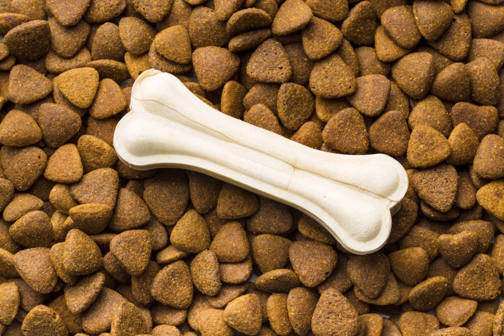 dry kibble dog food