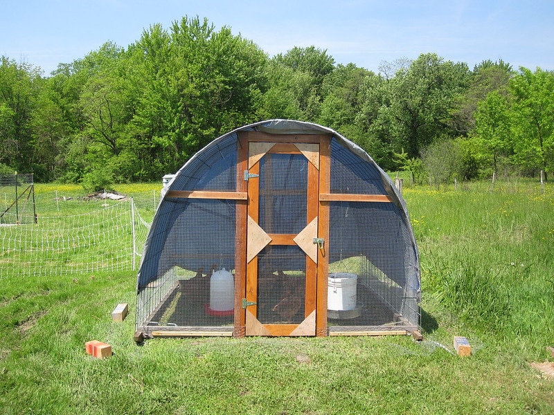 chicken hoop coop