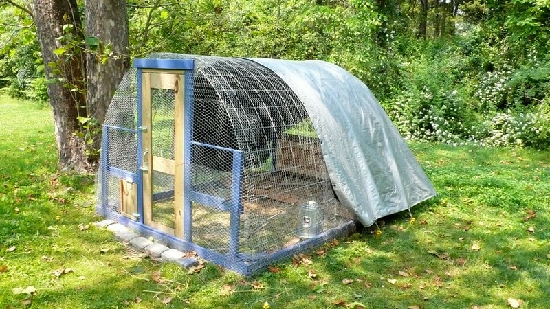 ready chicken hoop coop